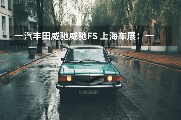 一汽丰田威驰/威驰FS 上海车展：一汽红旗H9+白玉兰主题版亮相