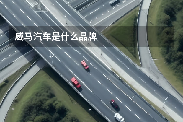 威马汽车是什么品牌