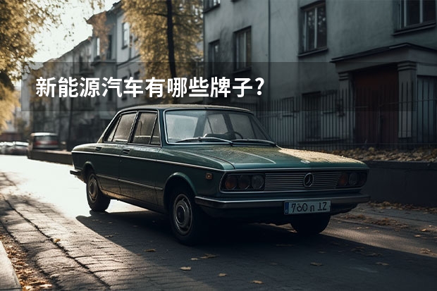 新能源汽车有哪些牌子?