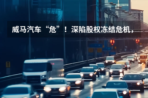 威马汽车“危”！深陷股权冻结危机，对客户投诉置之不理！ 比亚迪单月销量重回20万大关，威马被冻结40亿股权