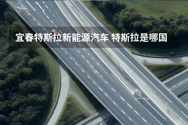 宜春特斯拉新能源汽车 特斯拉是哪国的品牌