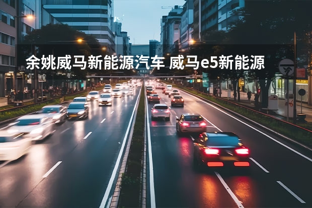 余姚威马新能源汽车 威马e.5新能源汽车有没有备用钥匙？