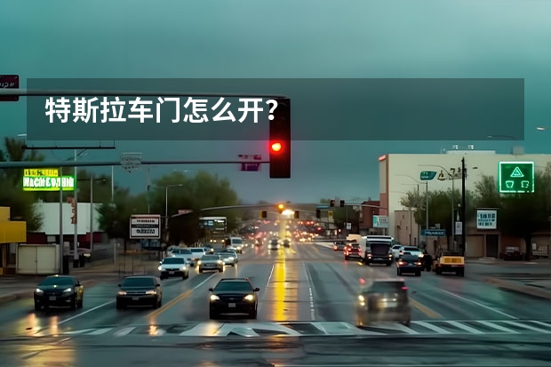 特斯拉车门怎么开？