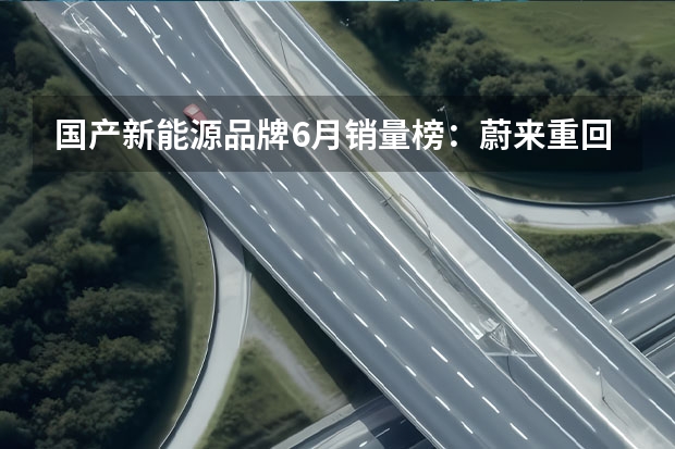 国产新能源品牌6月销量榜：蔚来重回万辆，理想破3万大关 2023年1月新能源汽车销量排行榜