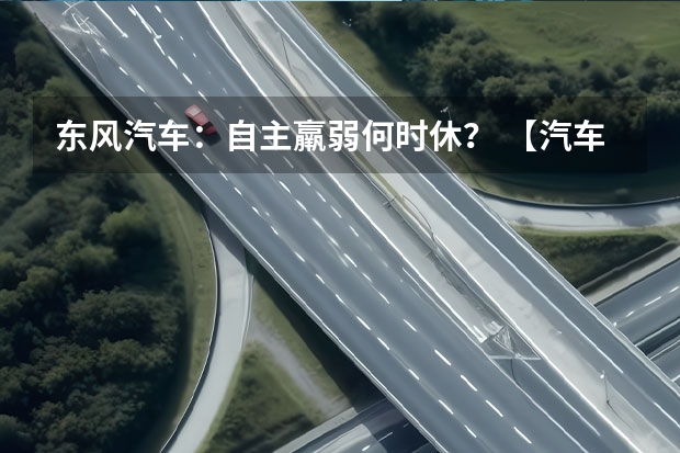 东风汽车：自主羸弱何时休？ 【汽车人】长安半年报，透露的和没透露的