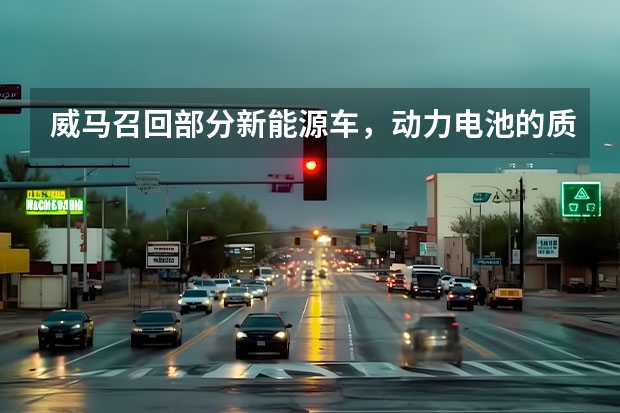 威马召回部分新能源车，动力电池的质量标准是否应该加强？ 威马自燃上演“连续剧” 苦了谁？