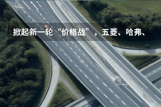 掀起新一轮“价格战”，五菱、哈弗、大众、奥迪再现大幅降价 1一2万微型二手小货车