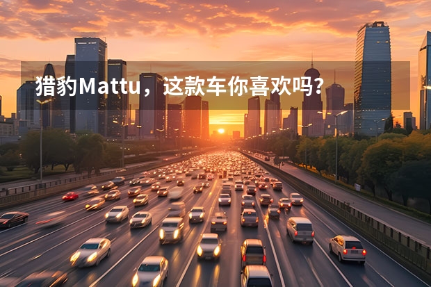猎豹Mattu，这款车你喜欢吗？