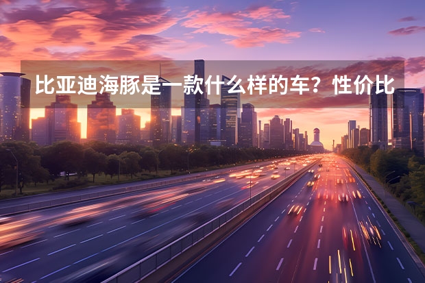 比亚迪海豚是一款什么样的车？性价比怎么样？