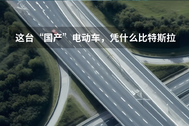 这台“国产”电动车，凭什么比特斯拉和保时捷都要贵