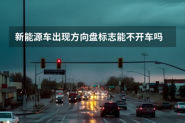 新能源车出现方向盘标志能不开车吗