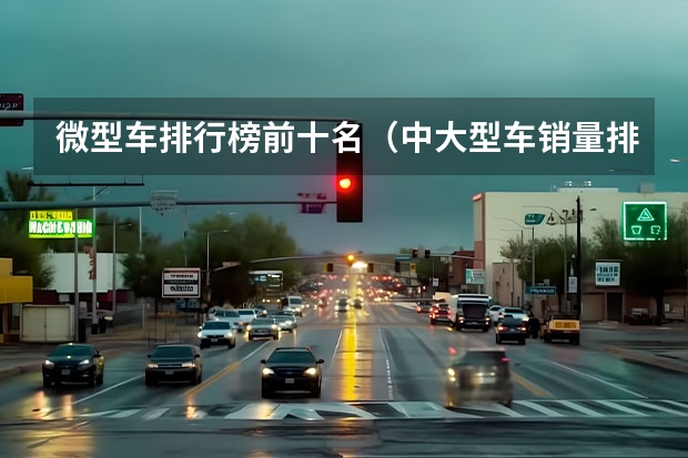微型车排行榜前十名（中大型车销量排名）