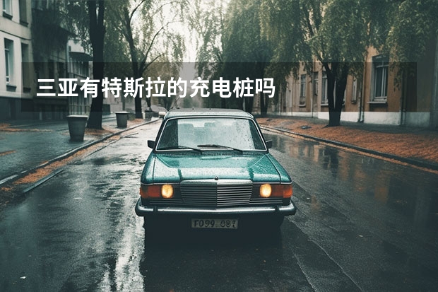 三亚有特斯拉的充电桩吗