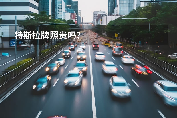 特斯拉牌照贵吗？
