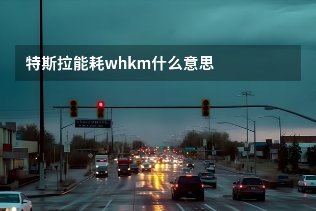 特斯拉能耗wh/km什么意思