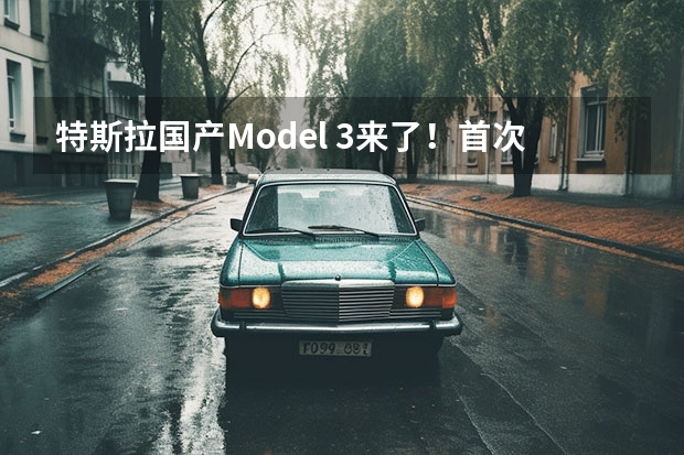 特斯拉国产Model 3来了！首次采用磷酸铁锂电池（特斯拉电池问题频发，为何还有人买）