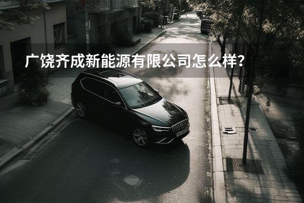 广饶齐成新能源有限公司怎么样？