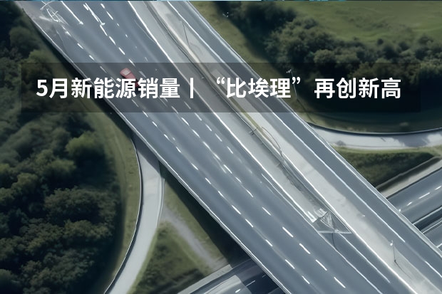 5月新能源销量丨“比埃理”再创新高 “小蔚”掉队难聚首 暂停周交付量公布后：李想称被同行举报，假销量开始攻击企业