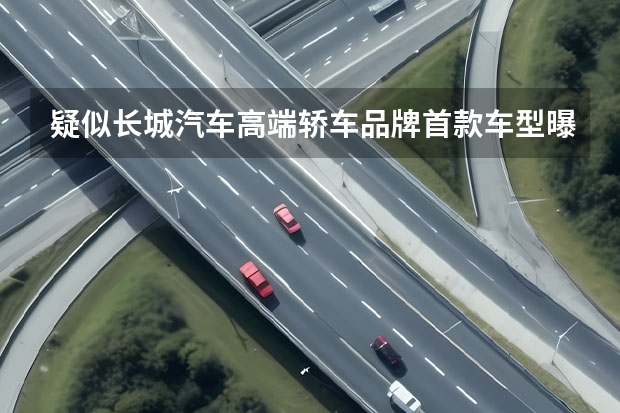 疑似长城汽车高端轿车品牌首款车型曝光 长城探索重启印度进入市场计划