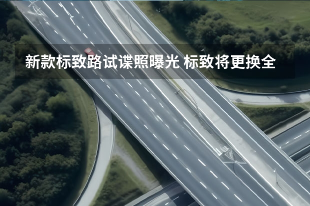 新款标致路试谍照曝光 标致将更换全新徽标