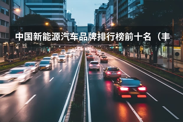中国新能源汽车品牌排行榜前十名（丰县奇瑞新能源4s店在那里）