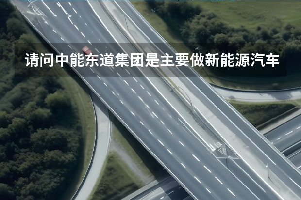 请问中能东道集团是主要做新能源汽车的吗？
