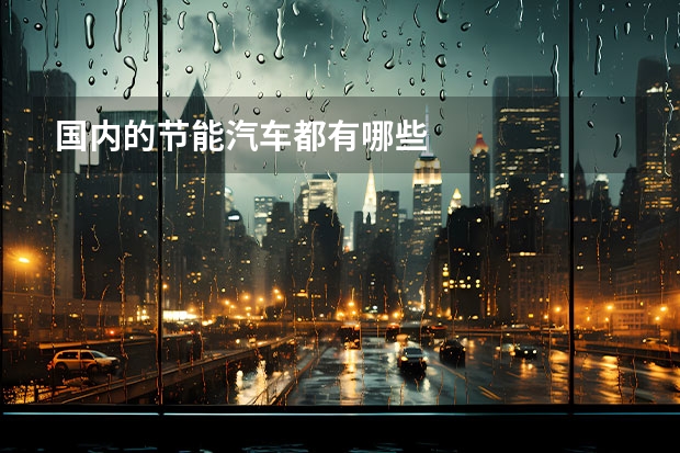 国内的节能汽车都有哪些