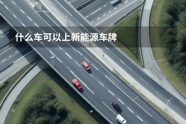 什么车可以上新能源车牌