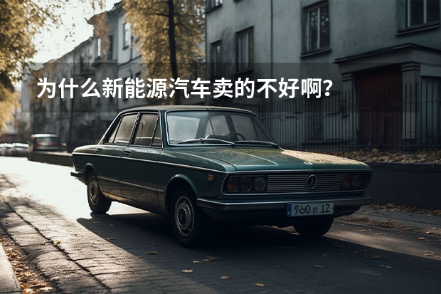 为什么新能源汽车卖的不好啊？