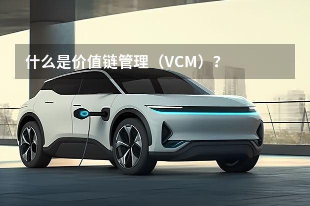 什么是价值链管理（VCM）？