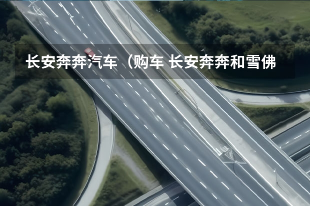 长安奔奔汽车（购车 长安奔奔和雪佛兰乐驰？？）