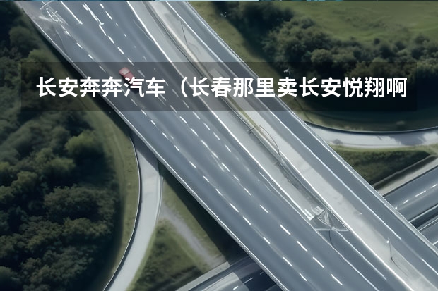 长安奔奔汽车(长春那里卖长安悦翔啊?)