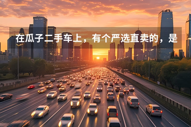 在瓜子二手车上,有个严选直卖的,是否可靠?报价如何的?