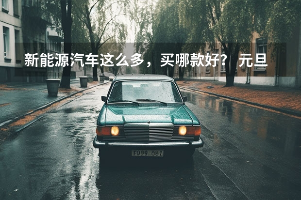 新能源汽车这么多,买哪款好? 元旦以后免购置税的车型