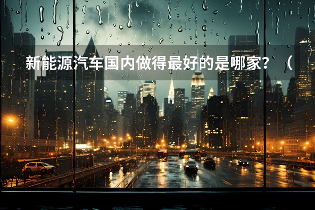 新能源汽车国内做得最好的是哪家？（保定比亚迪4s店地址）