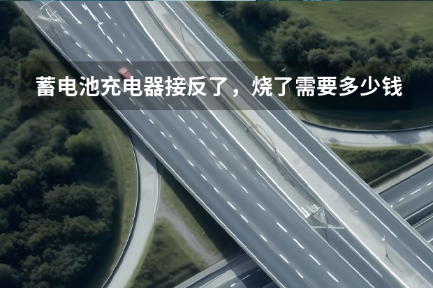 蓄电池充电器接反了,烧了需要多少钱维修
