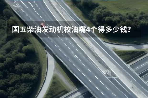 国五柴油发动机校油嘴4个得多少钱?