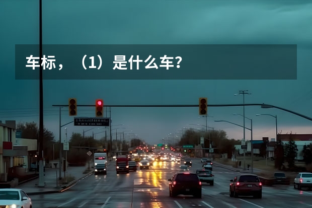 车标，（1）是什么车？
