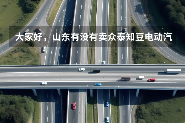大家好,山东有没有卖众泰知豆电动汽车的,谢谢(到底买不买新能源汽车)