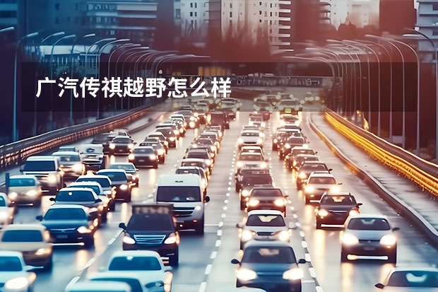 广汽传祺越野怎么样