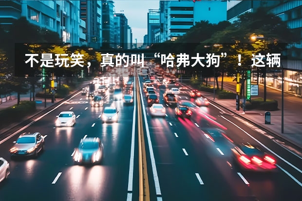不是玩笑,真的叫“哈弗大狗”!这辆哈弗全新SUV你会买吗?