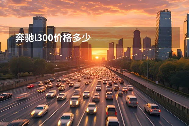 奔驰l300价格多少