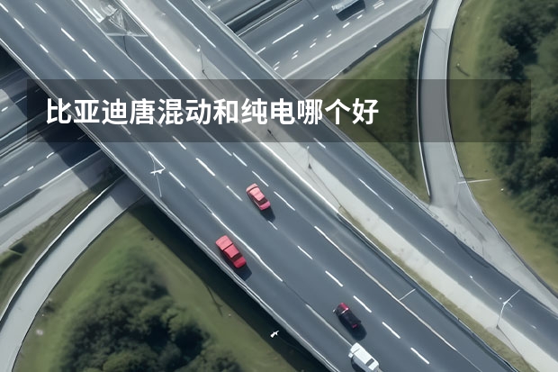 比亚迪唐混动和纯电哪个好