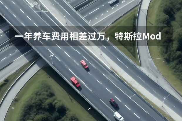 一年养车费用相差过万，特斯拉Model3和宝马3系哪个更香？