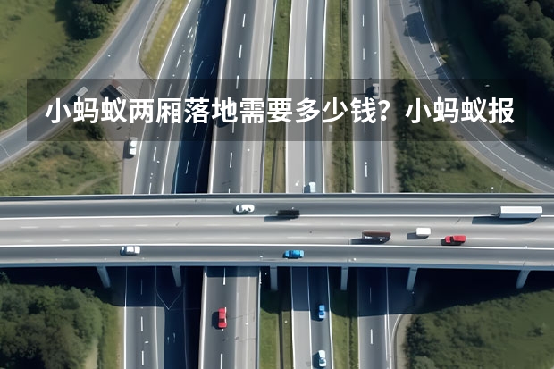 小蚂蚁两厢落地需要多少钱?小蚂蚁报价