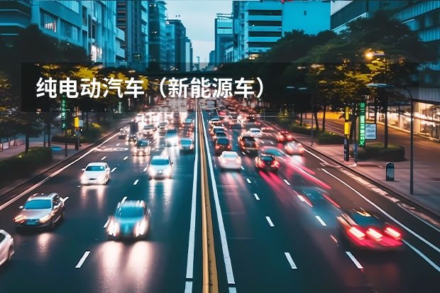 纯电动汽车（新能源车....）