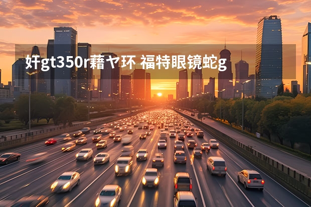 奸gt350r藉ヤ环 福特眼镜蛇gt350报价多少
