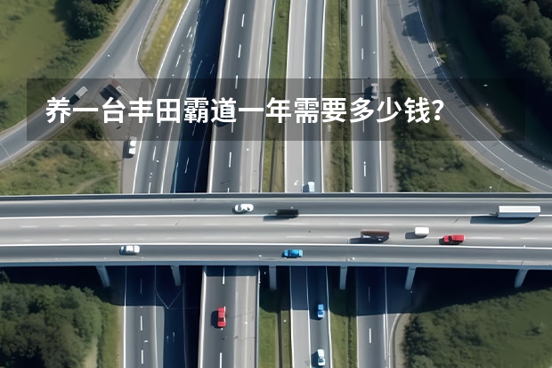 养一台丰田霸道一年需要多少钱？