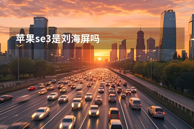苹果se3是刘海屏吗