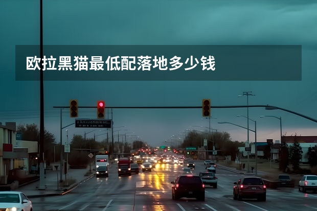 欧拉黑猫最低配落地多少钱